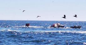 L/M Doña Leticia naufraga en las cercanías de Caleta Chome
