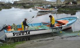 Ferepa Bío Bío saluda a los trabajadores y trabajadoras de la pesca artesanal de la región