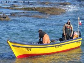 CONFEPACH valora aprobación de proyecto de ley para viudas de pescadores