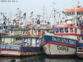 Ley de Pesca: se espera intenso debate