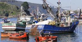 Dirigentes defienden sus propuestas ante Comisión de Pesca  en Valparaíso