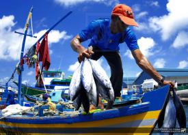 Comisión de Pesca de la Cámara despacha proyecto que crea INDESPA