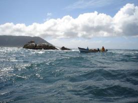 Comisión de Pesca despacha proyecto de ley que busca combatir la pesca ilegal