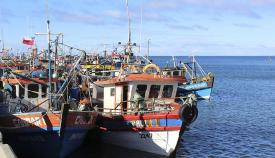 Ferepa Biobio entrega contenidos a modificar en la Ley de Pesca
