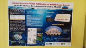Proyecto Arrecifes en Sind.Arauco.Una experiencia nueva para los recursos bentónicos