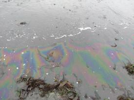 Nuevo derrame de hidrocarburos en Caleta de Talcahuano