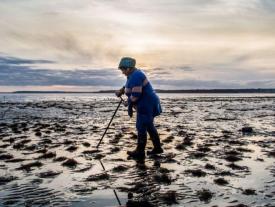 Indespa lanza concurso para mejorar condiciones en que trabajan las recolectoras de orilla: algueras de la pesca artesanal