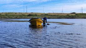 Tradición y sustentabilidad: Familia cultiva pelillo en el río Lenga con estrictas prácticas ecológicas