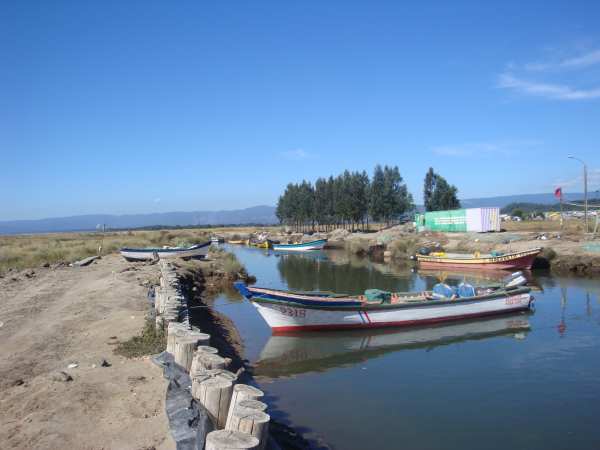 Arauco1.JPG