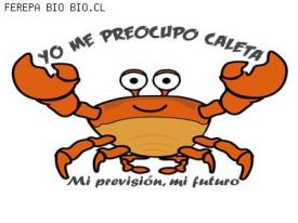 Con masivo almuerzo marino Ferepa Bío Bío realizó lanzamiento de proyecto de sensibilización previsional