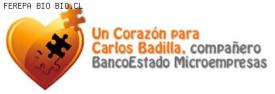 Ferepa Bío Bío se suma a campaña