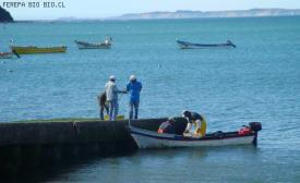 Cámara Baja aprobó proyecto que incorpora a organizaciones de pescadores en Registro Pesquero y condona 75% de deuda de artesanales entre 2004 y 2009