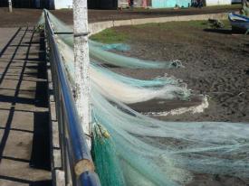 Ley de Pesca en fase final