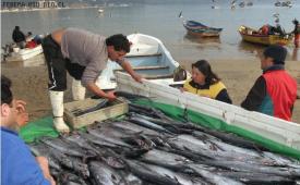 Se inicia semana clave para la Ley de Pesca.