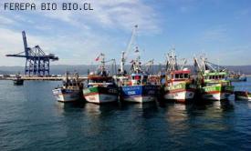 Ley de pesca en Tribunal Constitucional