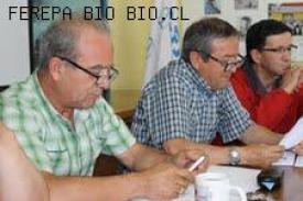 Experto presenta proyecto innovador a pescadores artesanales de la Region