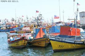Armada fiscaliza extracción de sardina y anchoveta