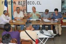 Fueron presentadas indicaciones al Proyecto IDEPA