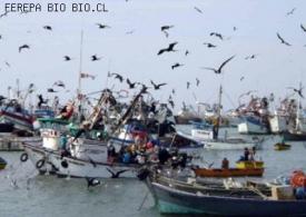 Inyectan recursos a la pesca artesanal