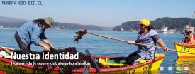 Primera piedra muelle para Caleta Coliumo