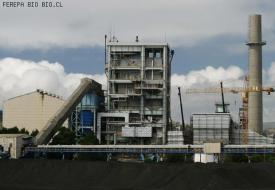 Subpesca pide a Endesa ubicar bocatoma de Bocamina a mayor profundidad y distancia de la costa