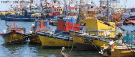 Pagan a pescadores de caletas afectadas por derrame el 2007