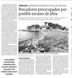 Varamientos masivos se registran en costas de la Región del Biobío