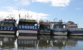 Movilizaciones no son de pescadores y quienes buscan derogar la Ley de Pesca nos exponen al caos