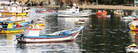 Documento oficial de Ferepa Biobío en torno a discusión Ley de Pesca