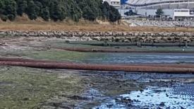 Denuncian ante Superintendencia de Medioambiente por derrames en Caleta El Morro y Rocuant.