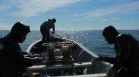 Llaman a buzos y armadores artesanales a postular a renovación de equipos de buceo
