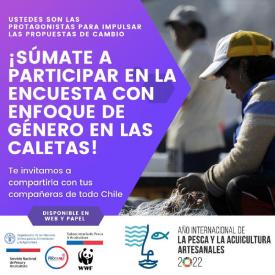 Convocamos a las mujeres del sector a responder encuesta sobre condicion laboral en las caletas
