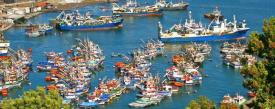 Manifiesto por la Justicia y la Sostenibilidad en la Pesca: Basta de blindar a la Industria