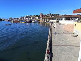 Trabajo conjunto para enfrentar hechos delictivos en sectores el Terminal Pesquero Artesanal de Talcahuano