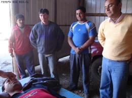 CURSO BUCEO PERALES
