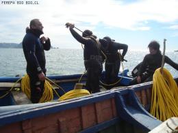 CURSO DE BUCEO PERALES