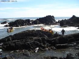 CURSO BUCEO PERALES