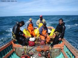 EVALUACION DIRECTA ISLA MOCHA