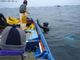 PROSPECCION SUBMARINA