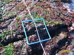 EVALUACION INTERMAREAL