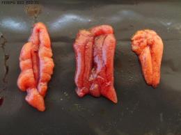 ESTADOS DE MADUREZ , SARDINA II