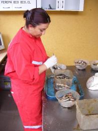 MUESTREO EN LABORATORIO SODEPAR