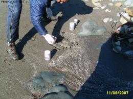 RECOLECCION MUESTRAS DE SEDIMENTO